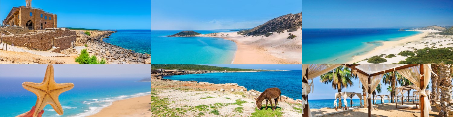 Top 9 Things to Do in Karpaz Peninsula