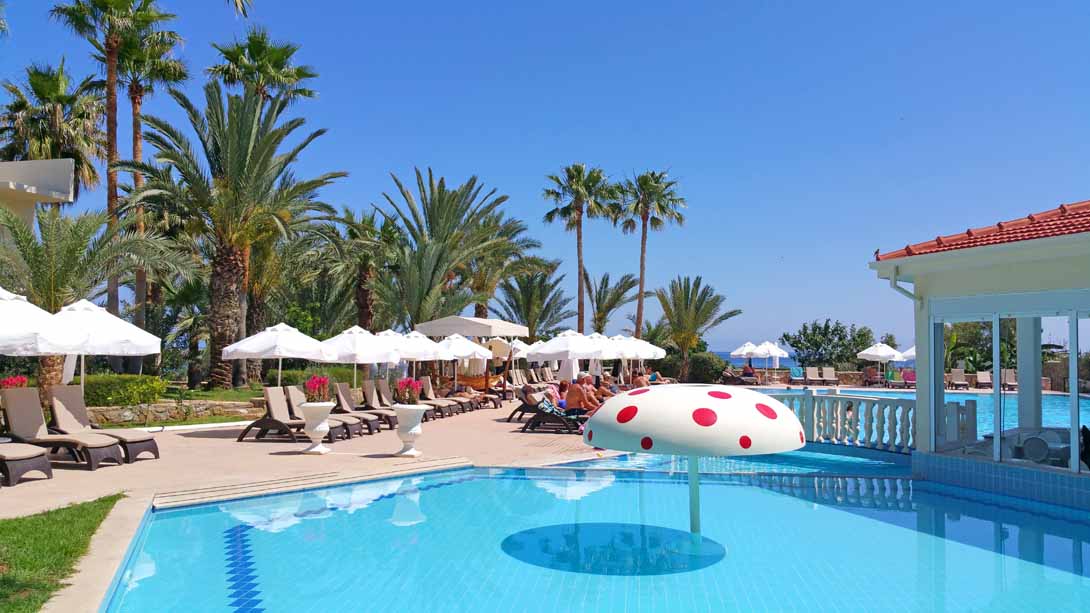 The Olive Tree Hotel