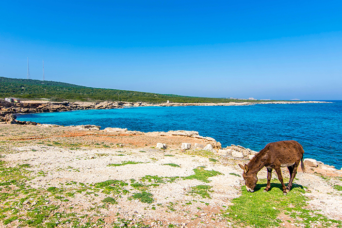 national-park-karpaz-north-cyprus