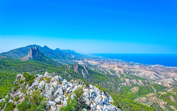 cyprees pine trees lanscapes nrth cyprus