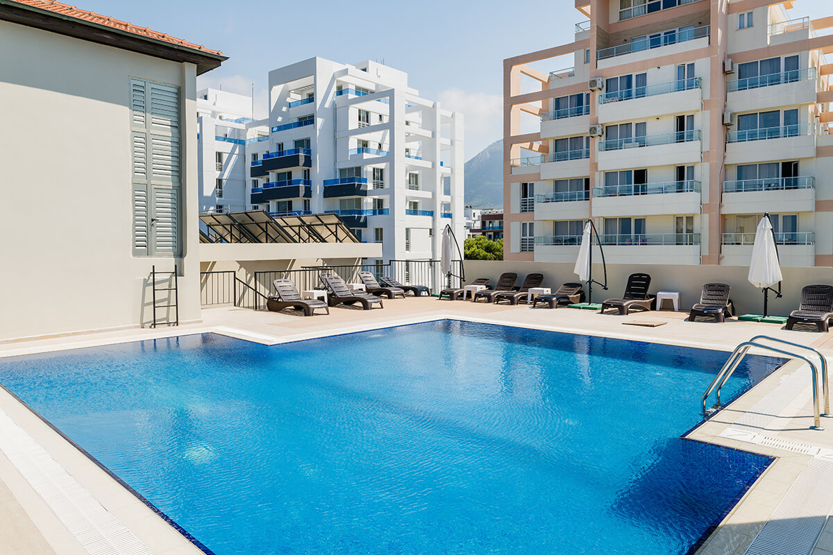1 olivia palm cyprus