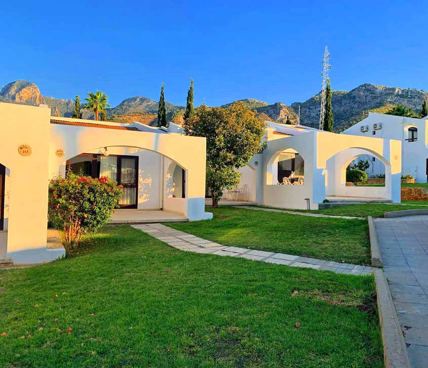 The Olive Tree Hotel