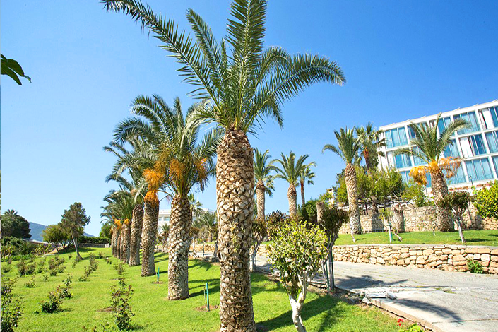 denizkzi-hotel-north-cyprus-garden.png