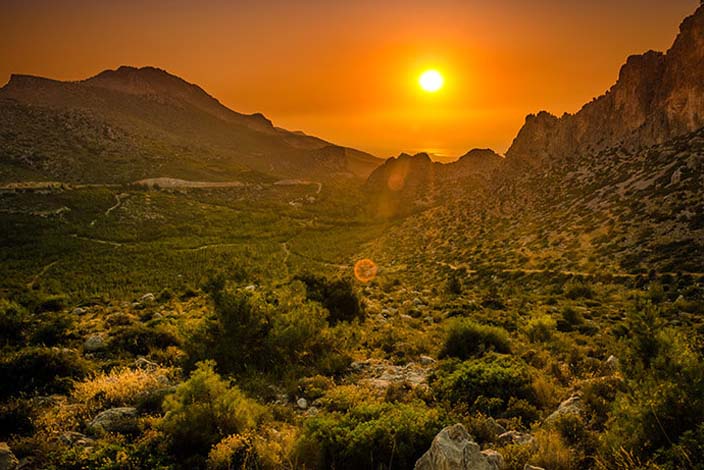 sunshine-north-cyprus