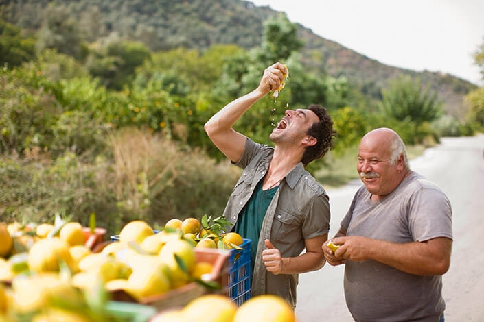 orange-festival-guzelyurt-north-cyprus