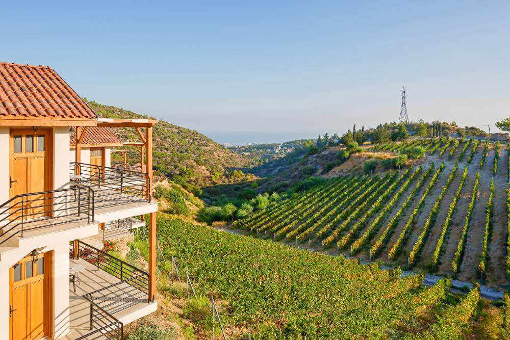 Gillham Vineyard
