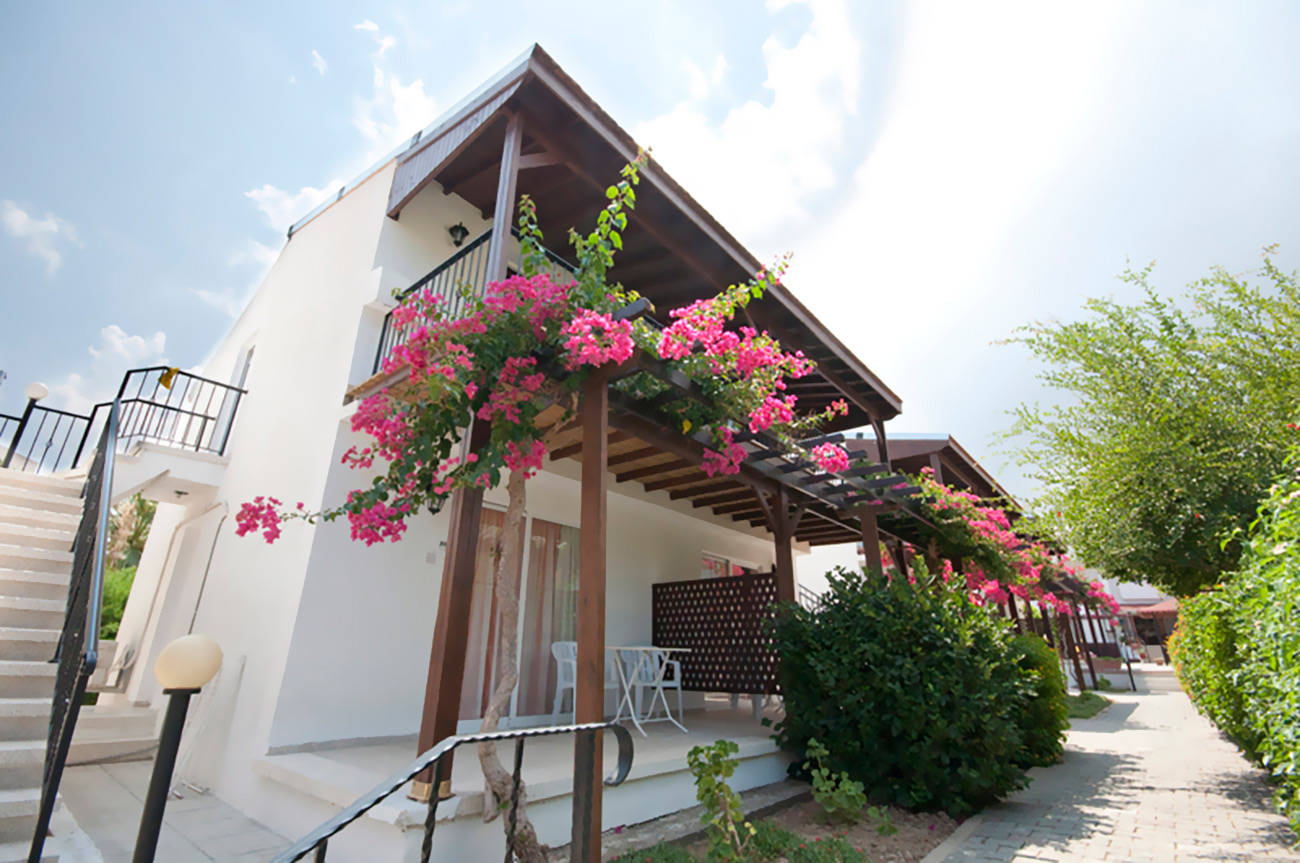 citrus tree hotel villa