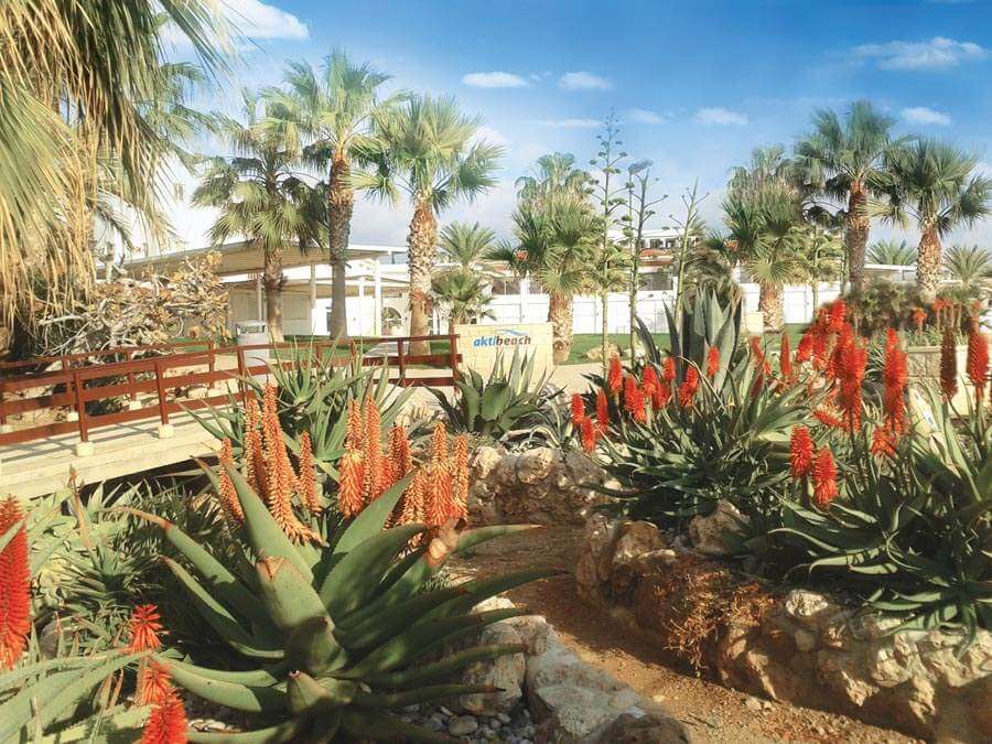 akti beach village resort gardens