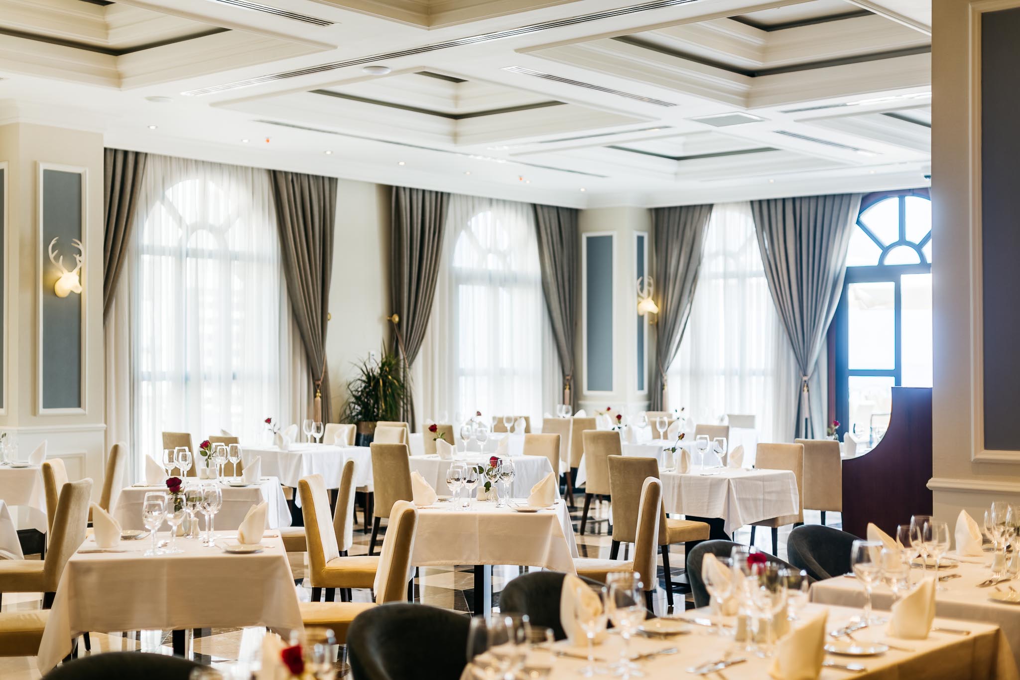 Soft All-Inclusive Board Basis