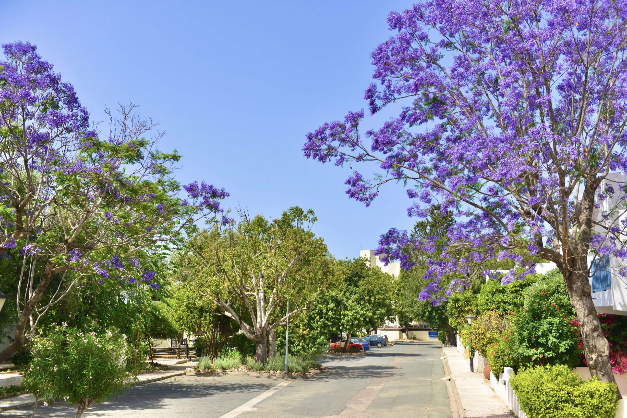 22 paphos gardens outside view cyprus
