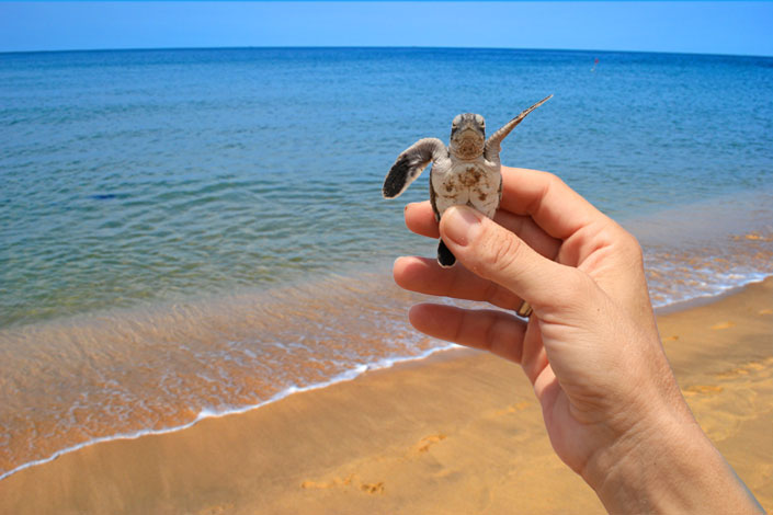 Reasons to Visit North Cyprus in the Late Summer