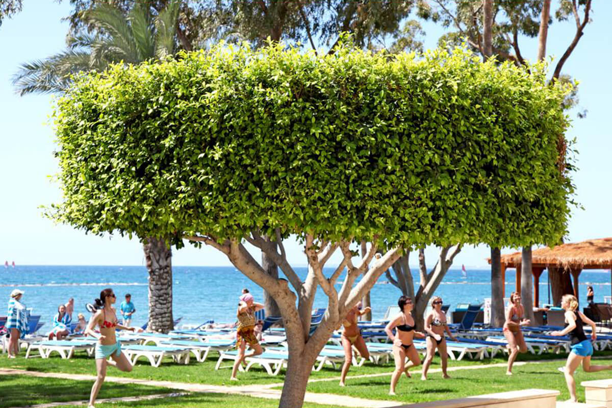 16-Poseidonia Beach Hotel Exercise