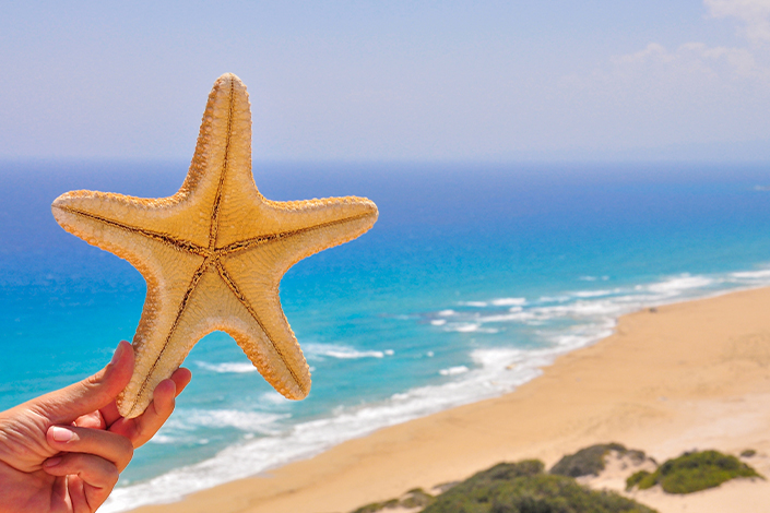 9 Must-Do Activities in Karpaz Peninsula