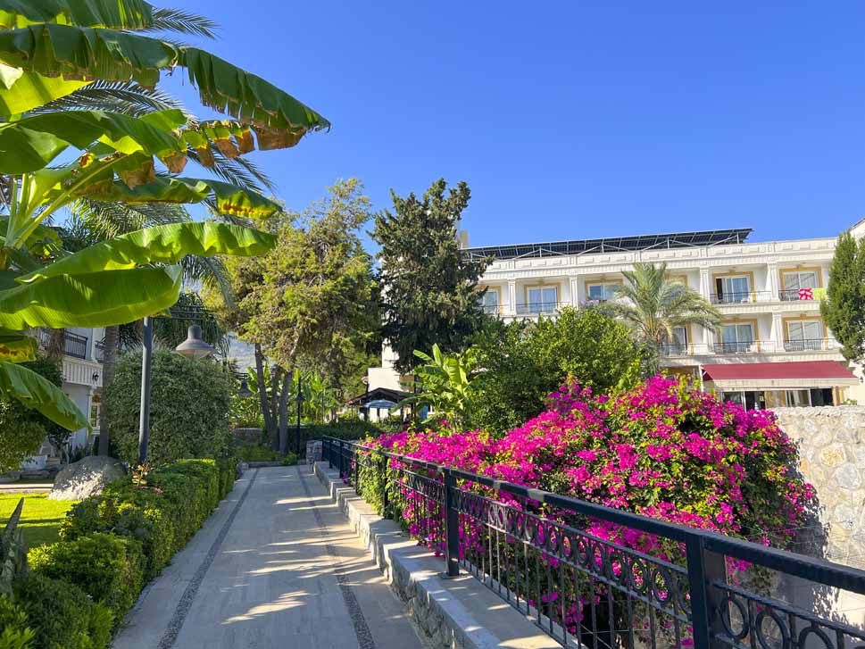 17 altinkaya hotel path flower side kyrenia.jpg
