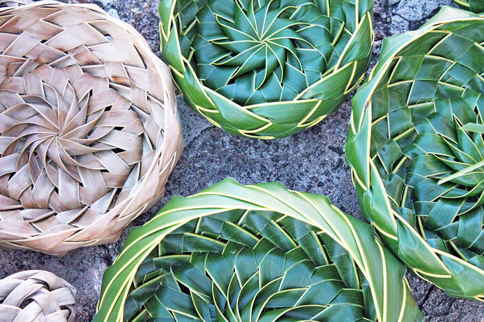 plant-knitting-north-cyprus