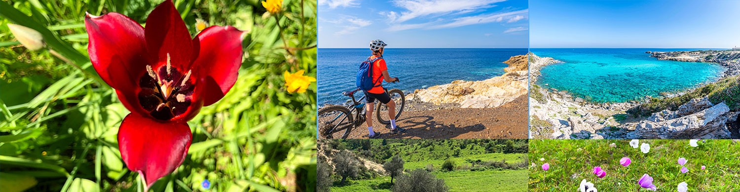 The Top 8 Reasons You Must Visit North Cyprus In Spring