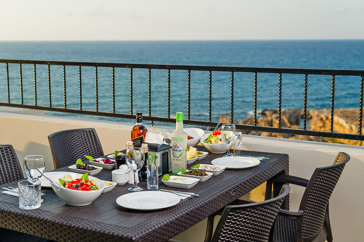 13 olivia palm harbour view meyhane