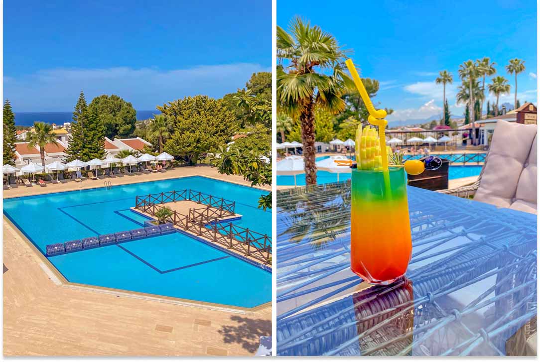 The Olive Tree Hotel