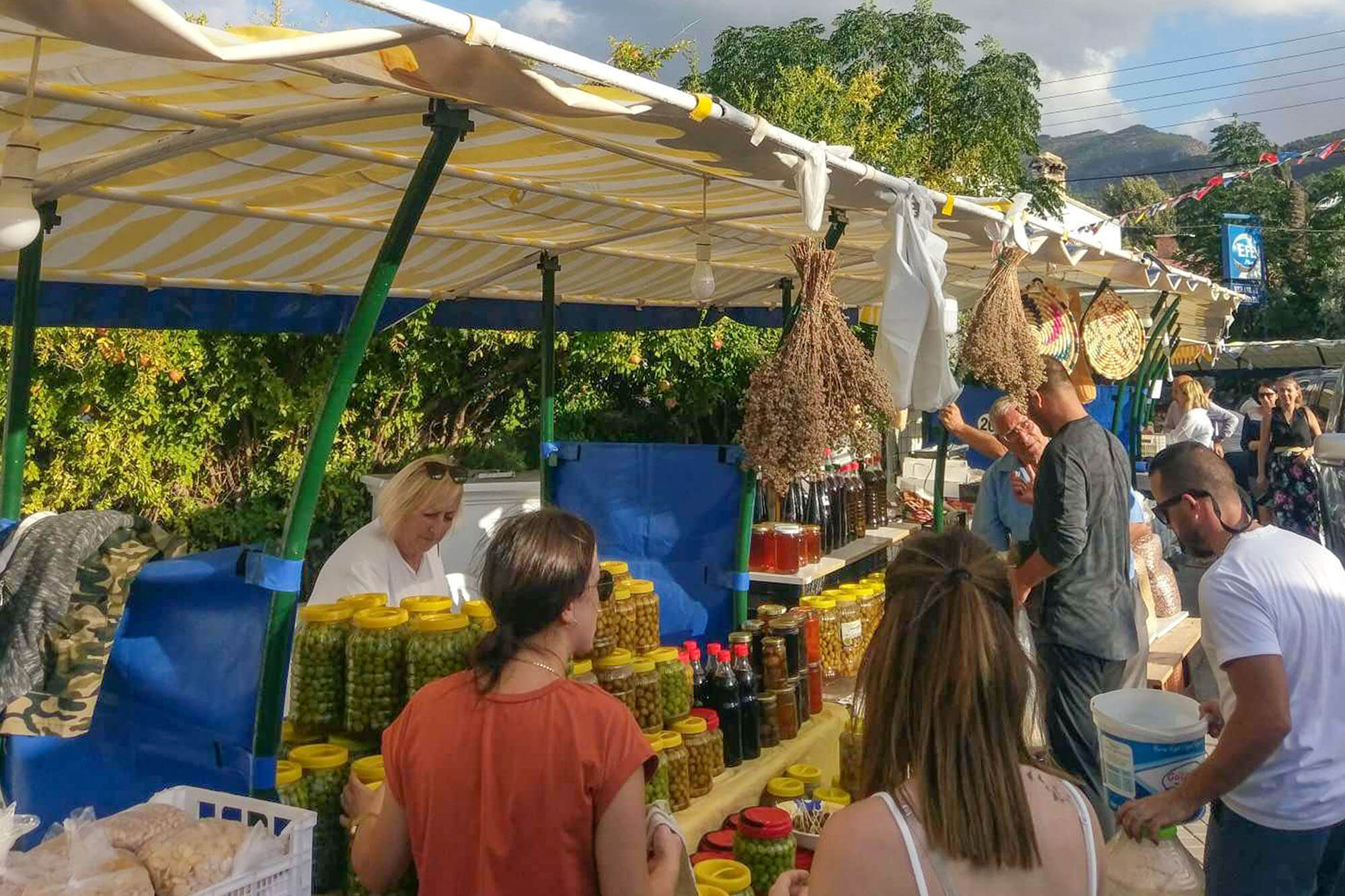 olive-festival-zeytinlik-cyprus