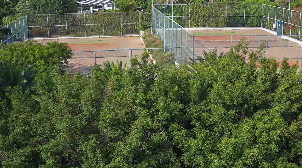 aloe hotel courts