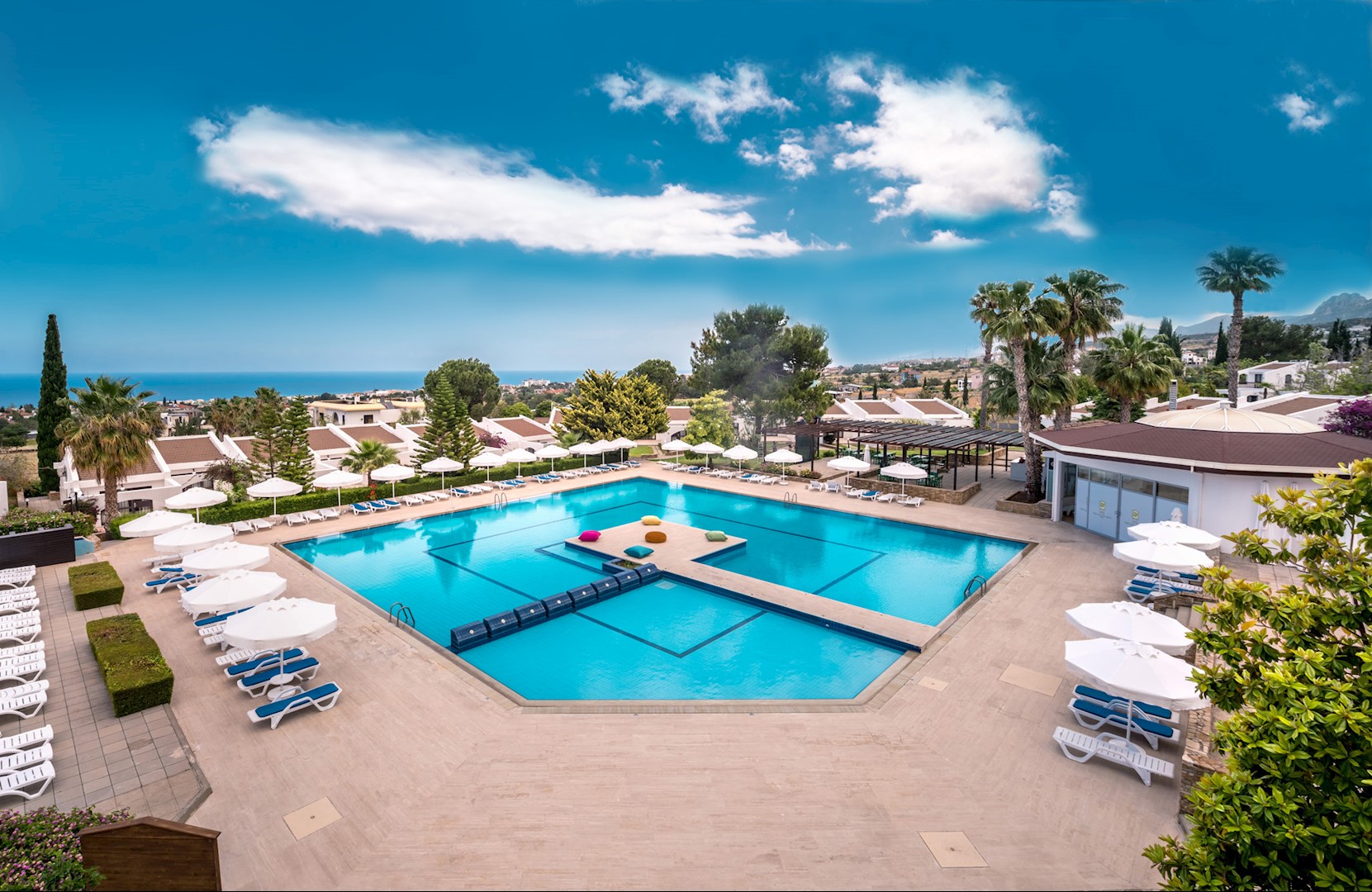 The Olive Tree Hotel