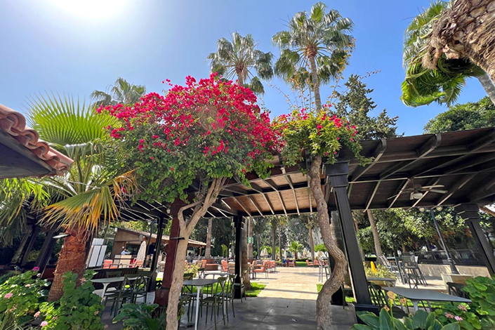 pia-bella-hotel-north-cyprus.png