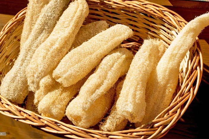 organi-dry-zucchini-scrub-north-cyprus