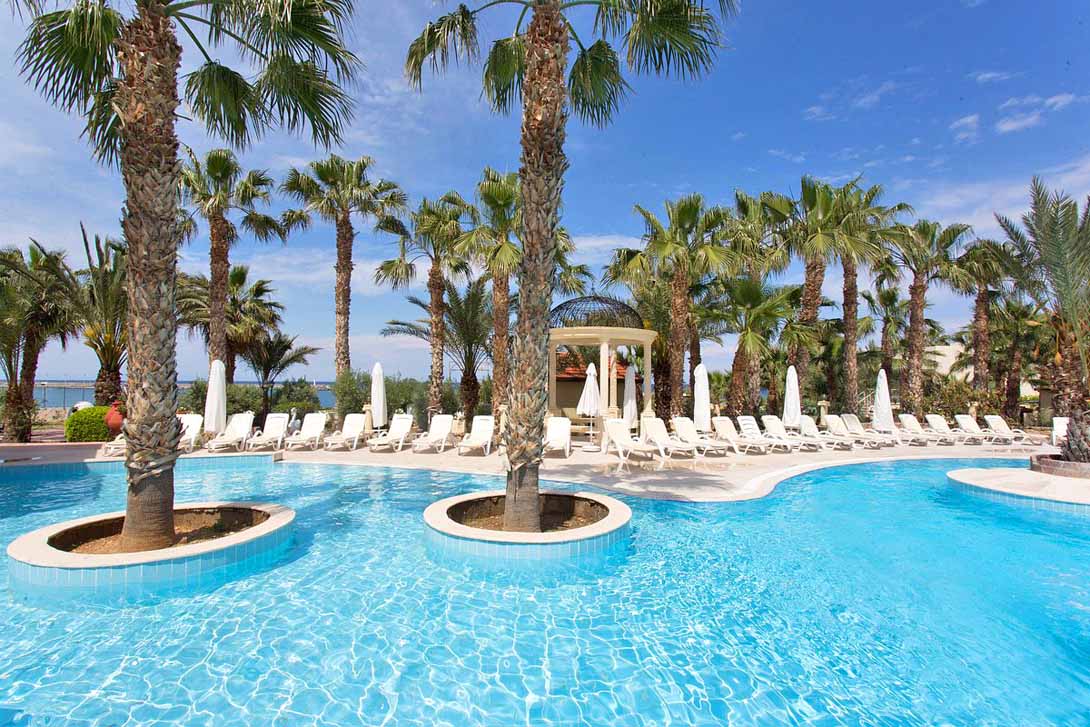 The Olive Tree Hotel