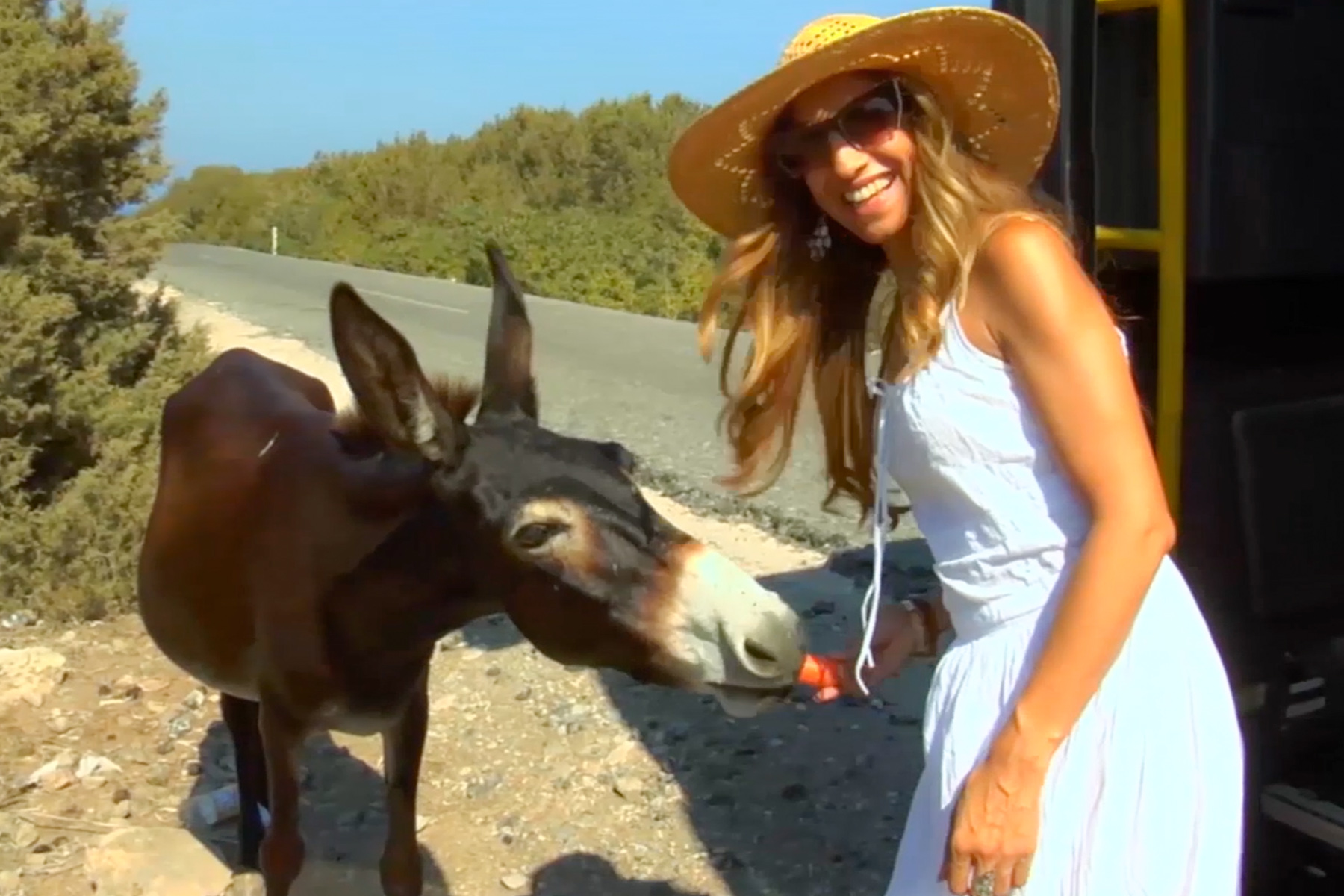 cyprus-donkey-karpaz-food.