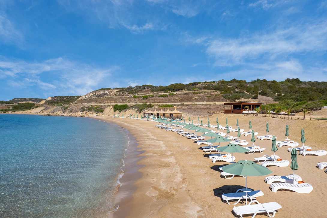 Beachfront Bliss