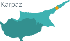 Karpaz