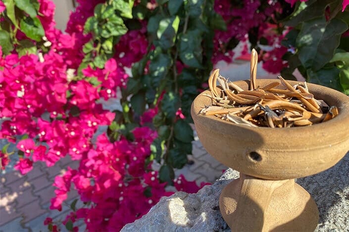 burning-olive-leaves-north-cyprus