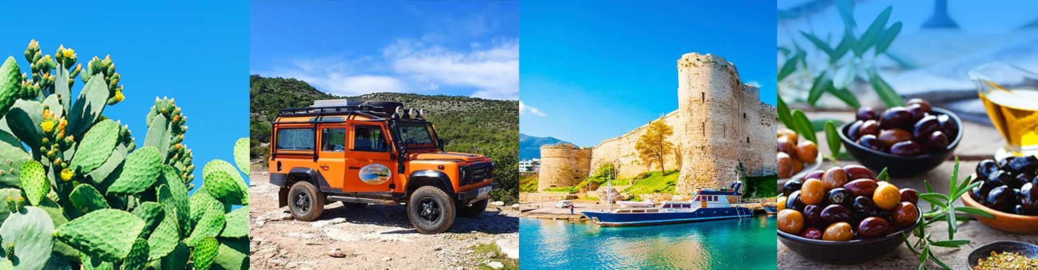 Top Reasons to Visit North Cyprus in the Late Summer