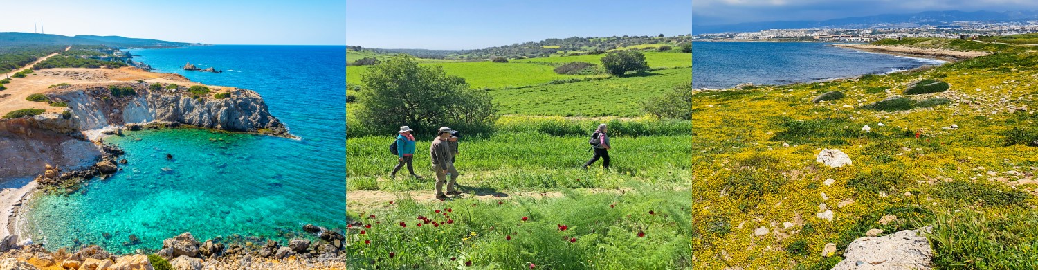 What's the weather like in Cyprus in March?