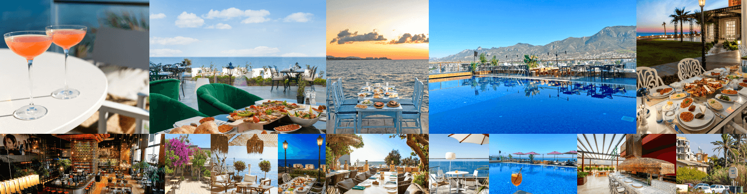 Discover the Best Restaurants In Cyprus 