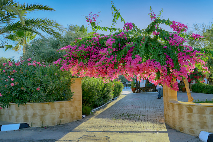 the-ship-inn-hotel-kyrenia.jpg