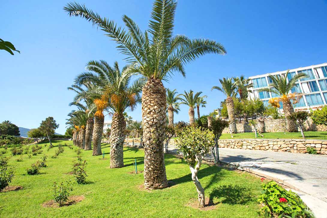 Denizkizi garden kyrenia