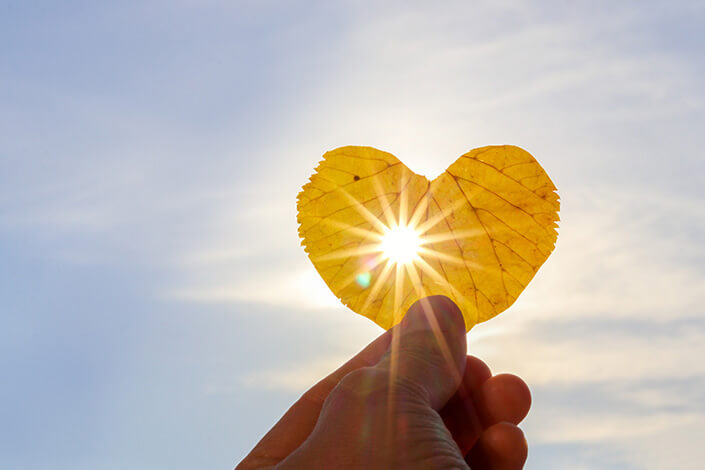 illness-protection-leaf-cyprus.jpg