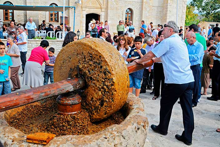 olive-festival-north-cyprus