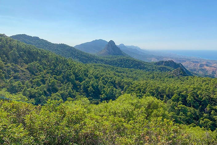alevkaya-forest-station-north-cyprus
