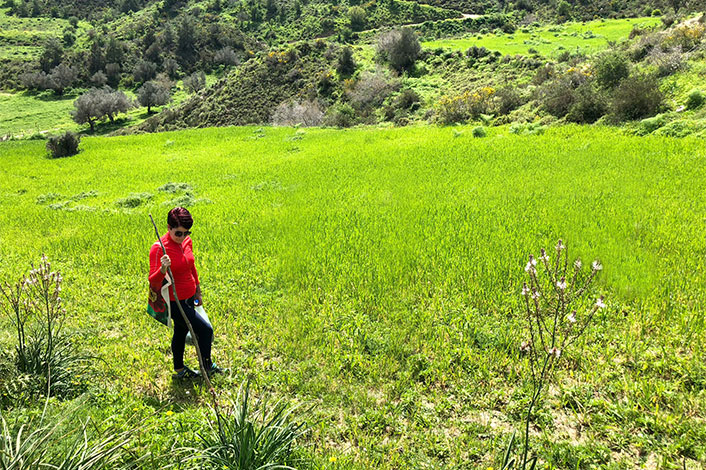 neature-walk-north-cyprus