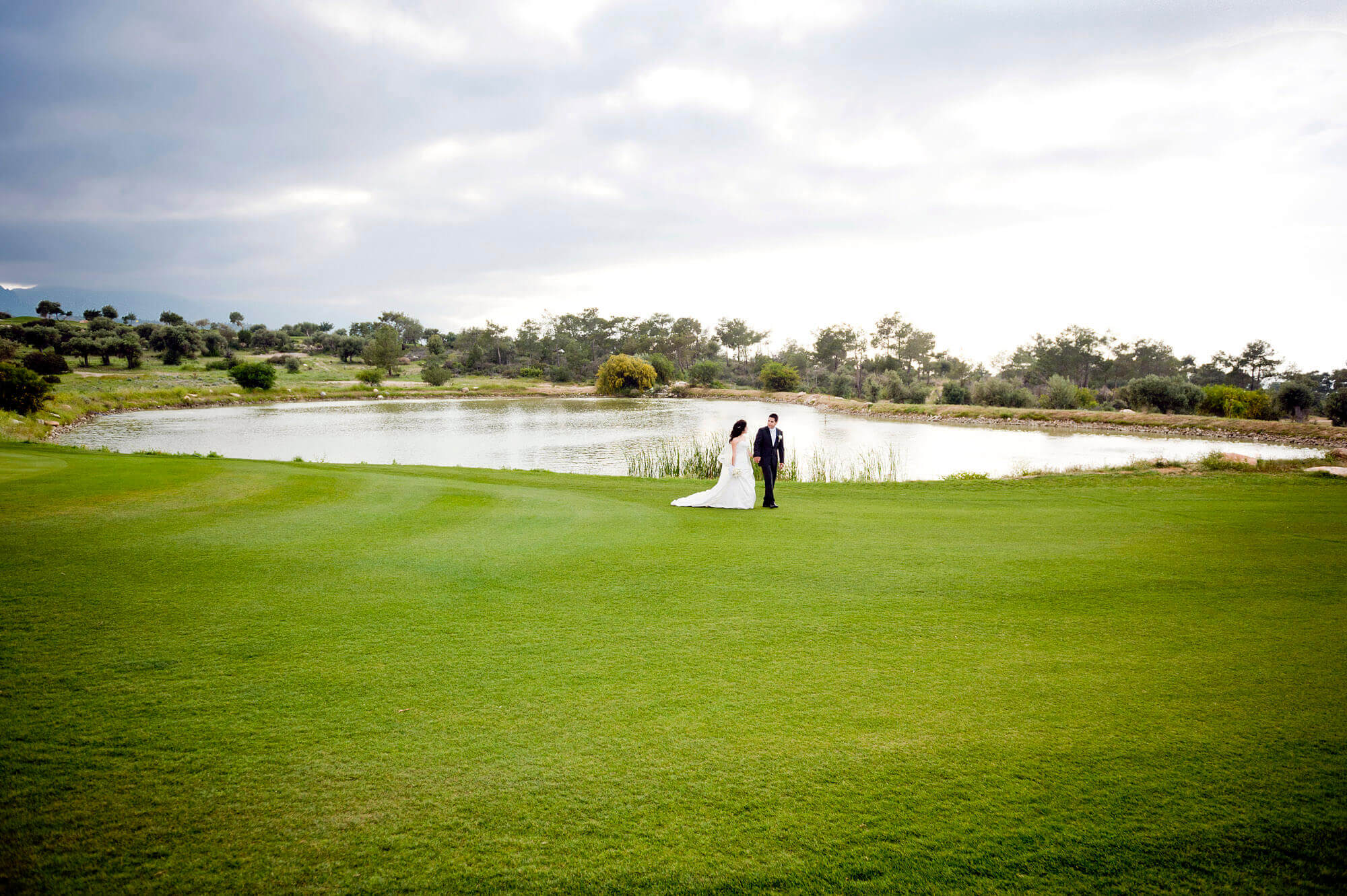 korineum-wedding-celebrations-greenery