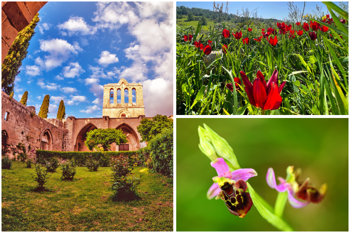 festivals-in-north-cyprus