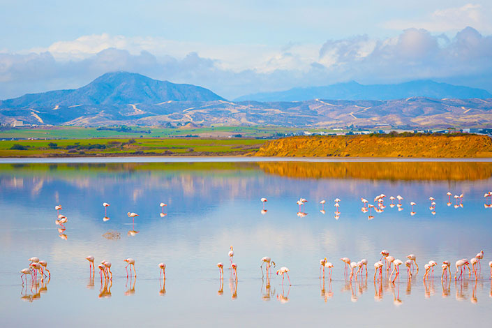 salt-lake-larnaca-cyprus