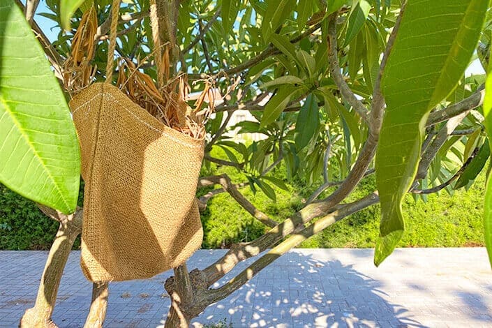 wipping-the-house-vinegar-north-cyprus