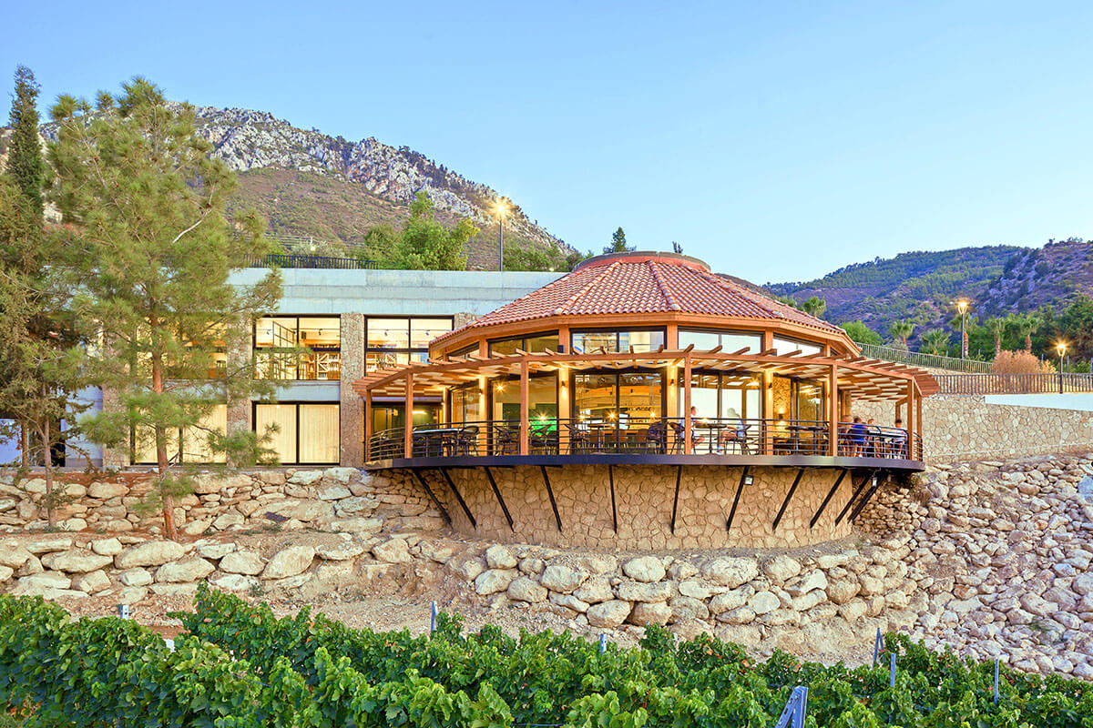 Gillham Vineyard