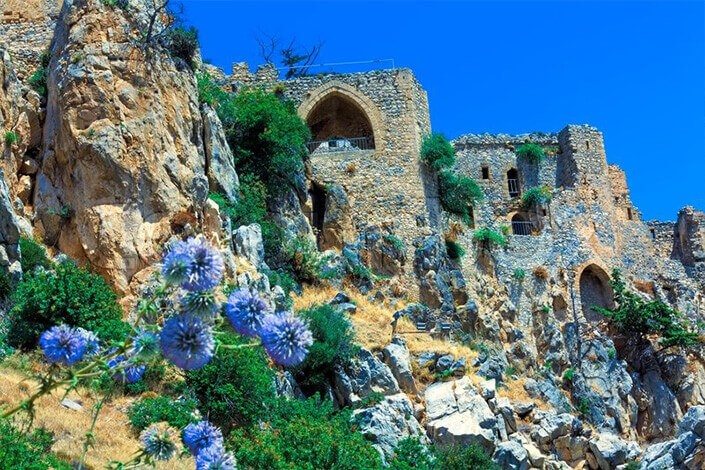 st-hilarion-cabbage