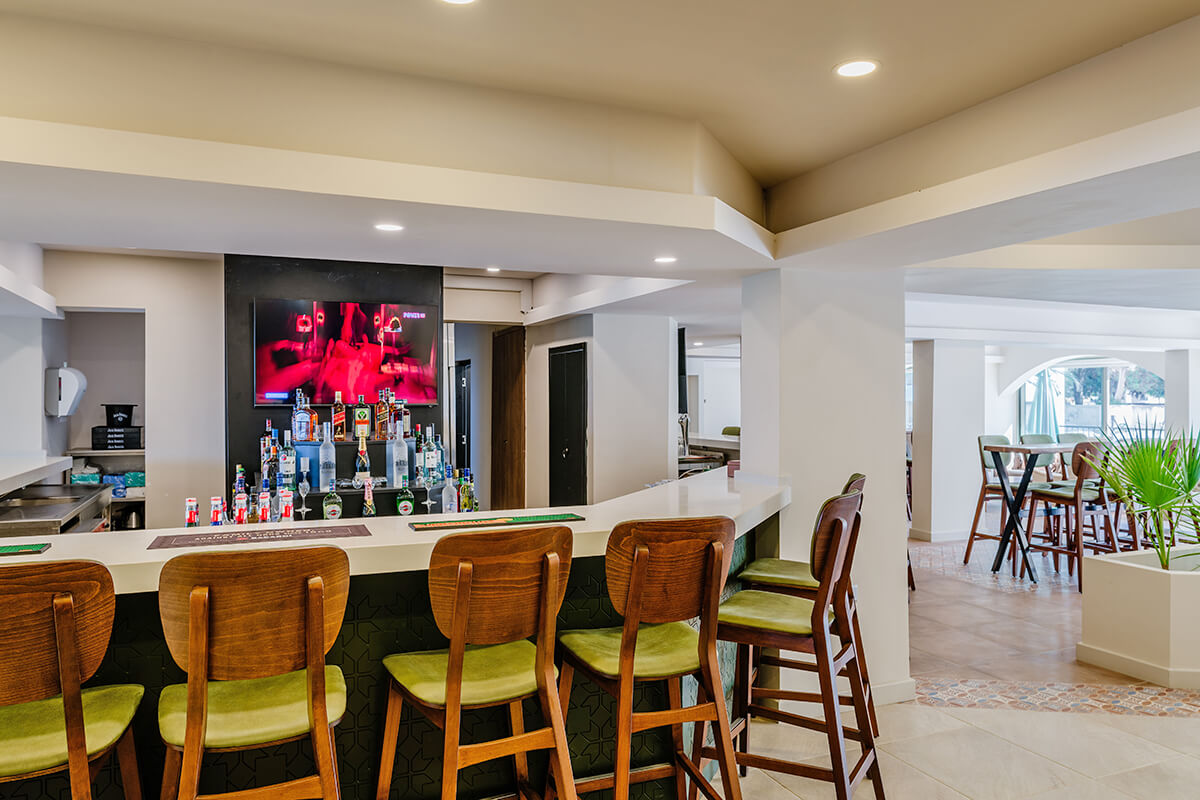 15 olivia palm hotel bar