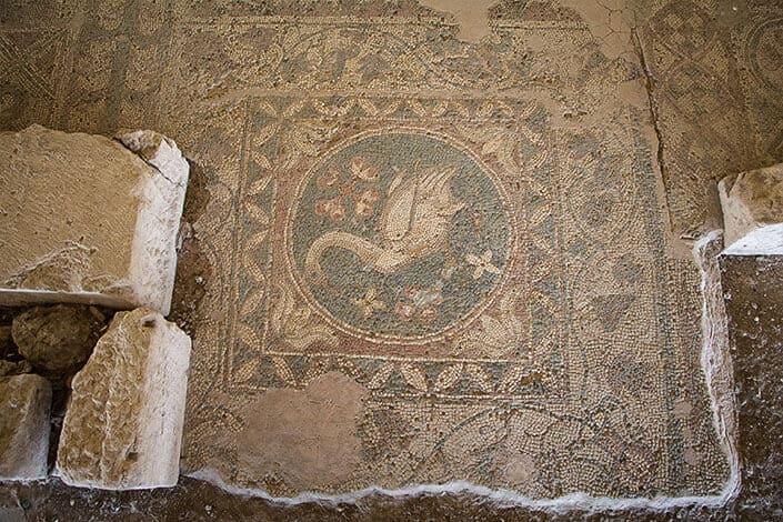roman-mosaic-north-cyprus
