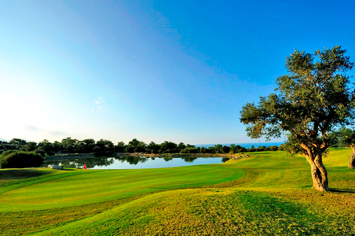 paspalum-golf-course-ground-north-cyprus